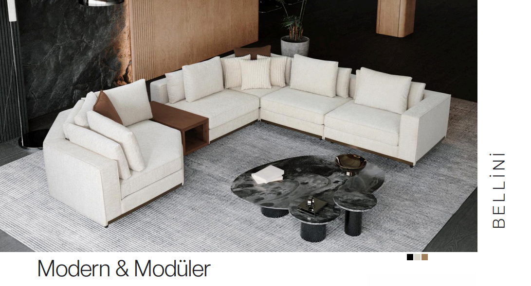 living rooms and sofas